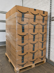 Amazon & Best Buy Wholesale Lot – High Demand Household Essentials