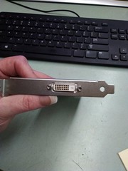 Dell Digital Video Card Graphics E-G900-04-2600(B)