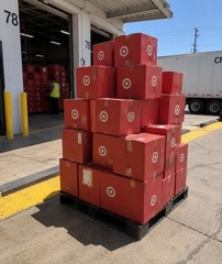 Target & Amazon Retail Overstock Mystery Box