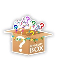Mystery Box – Amazon, Walmart,Target- surprise assortment (16 x 12 x 8)