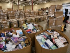 Amazon Liquidation Consumer Merchandise Inventory Ready for Profit