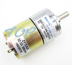12V DC 300 RPM High Torque Gear-Box Electric Motor Hot