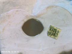 A Sleeping Cat figure, Butterfly Dish, Decorative Egg ( Please read )