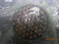 1 Bendix ms3112E 22-55S Mil Spec Circular Connector Plug 55 pOS Gold ampheonol
