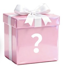 Woman’s Mystery Box General Merchandise Fun Liquidations Bundles All New Items