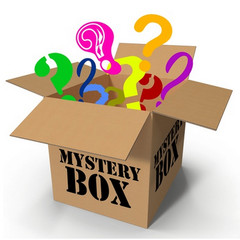MEDIUM FLAT RATE MYSYERY BOX, MENS STUFF, RETAIL VALUE OF 125$ GARANTEED