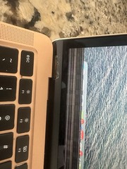 Rose Gold 2020 MacBook Air 13’’ 250 GB Great Condition Other Than Broken Screen.